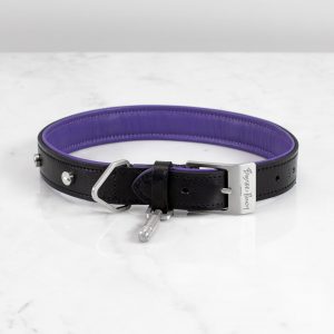 DOG COLLAR / LARGE / BLACK / PURPLE